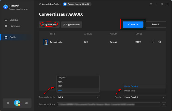 Convertisseur AA/AAX