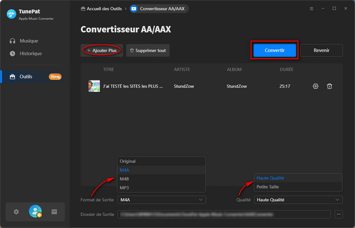 Convertisseur AA/AAX
