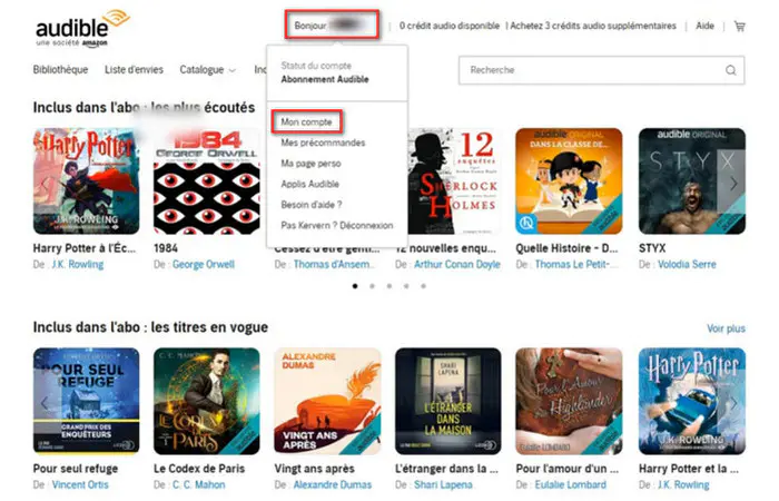 Cliquez sur Mon Compte