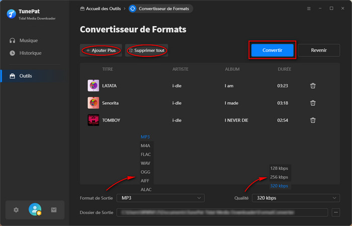 Convertisseur de Formats
